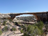 20160405 Owachomo Bridge F